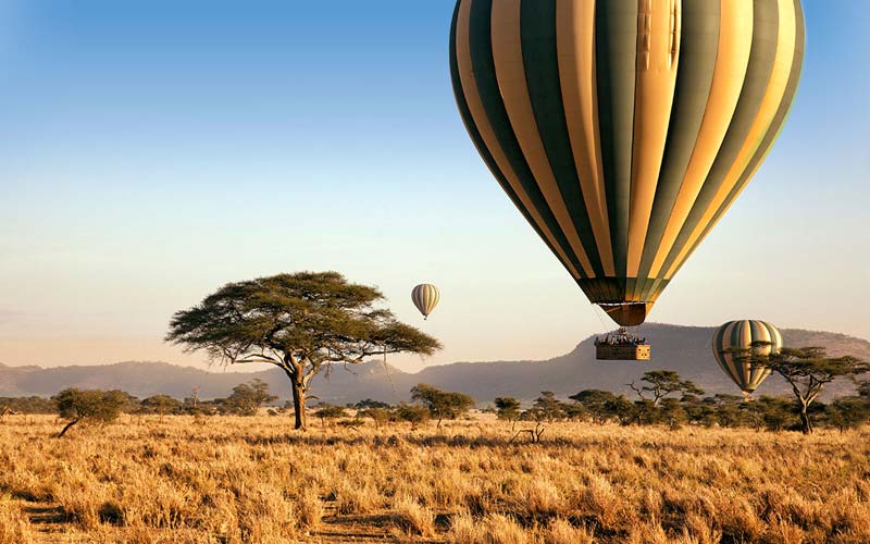 Experience the Magnificent Natural Phenomenon: The Great Migration in Tanzania