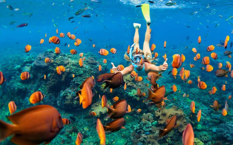 Zanzibar's Underwater Wonders: Snorkeling and Diving in the Indian Ocean