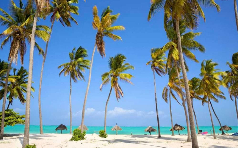 When Is The Best Time To Visit Zanzibar?
