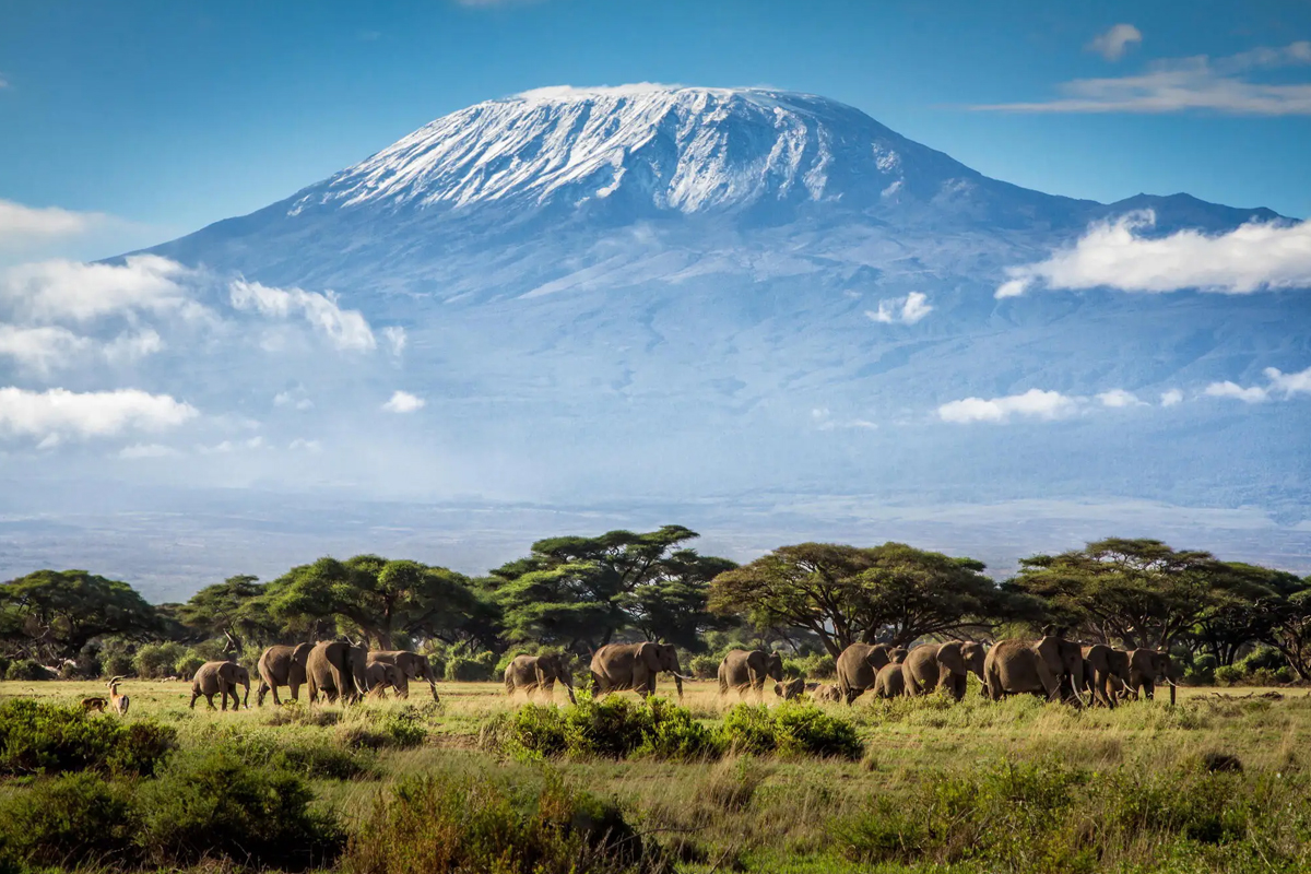 What Is The History Of The Kilimanjaro?