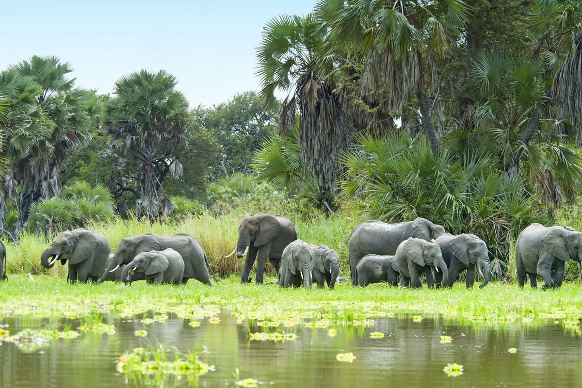 Where is the best place to go on a safari with kids?