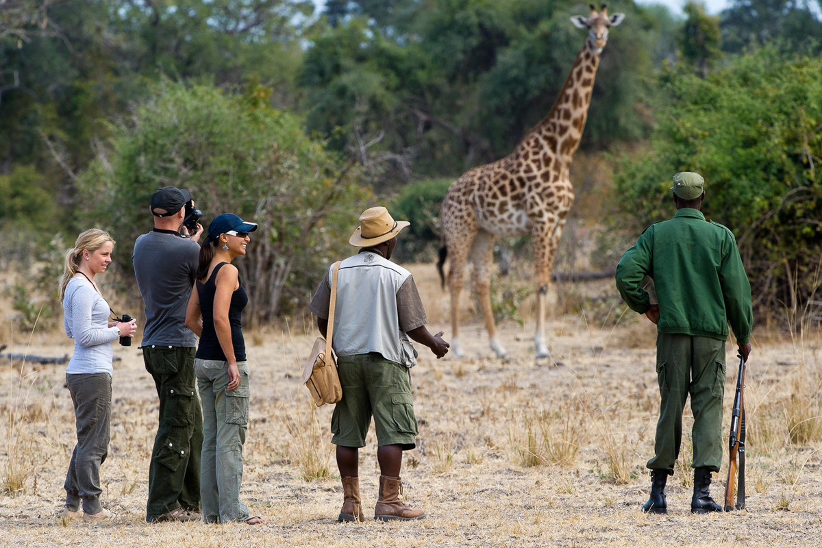 Stay Safe on Safari Essential Safety Tips